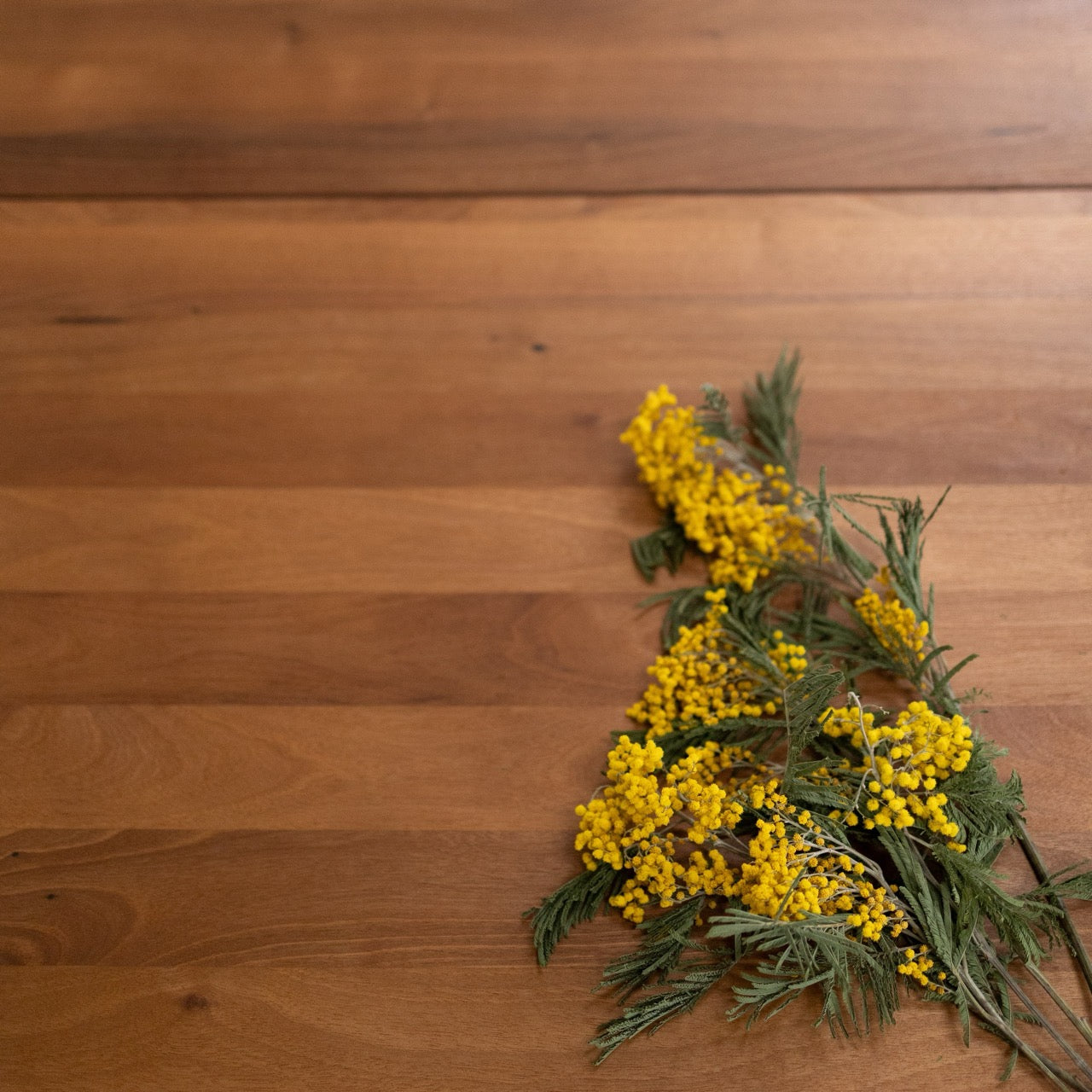 Table de salle à manger extensible en bois massif SWEDEN | VESKOR